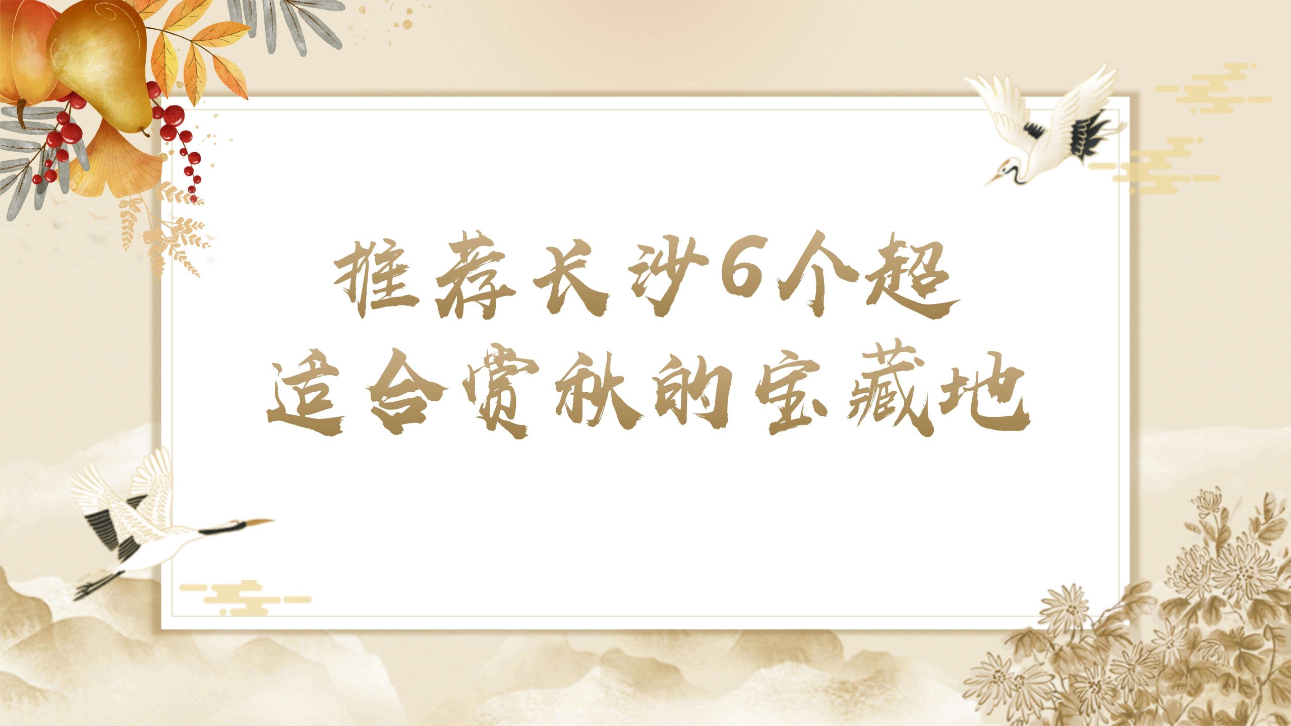 大好时光