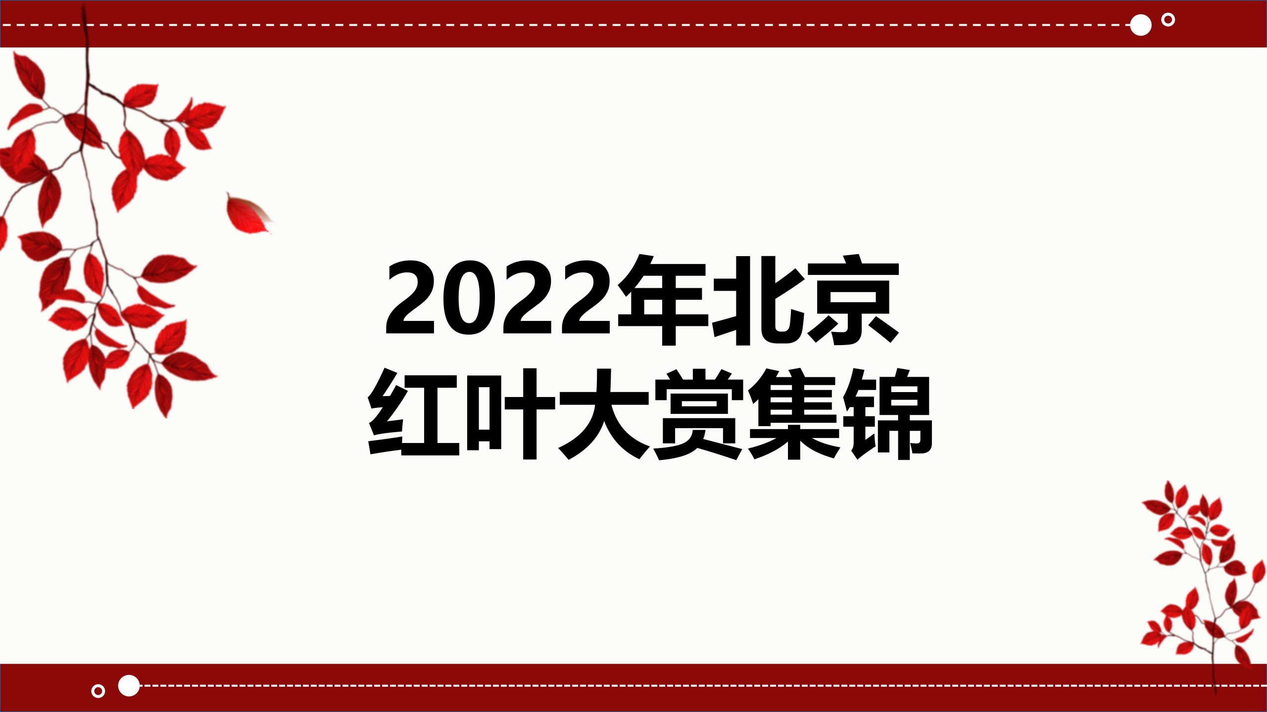 2022年北京红叶大赏集锦，推荐10个最美红叶赏秋地，一眼心动！缩略图