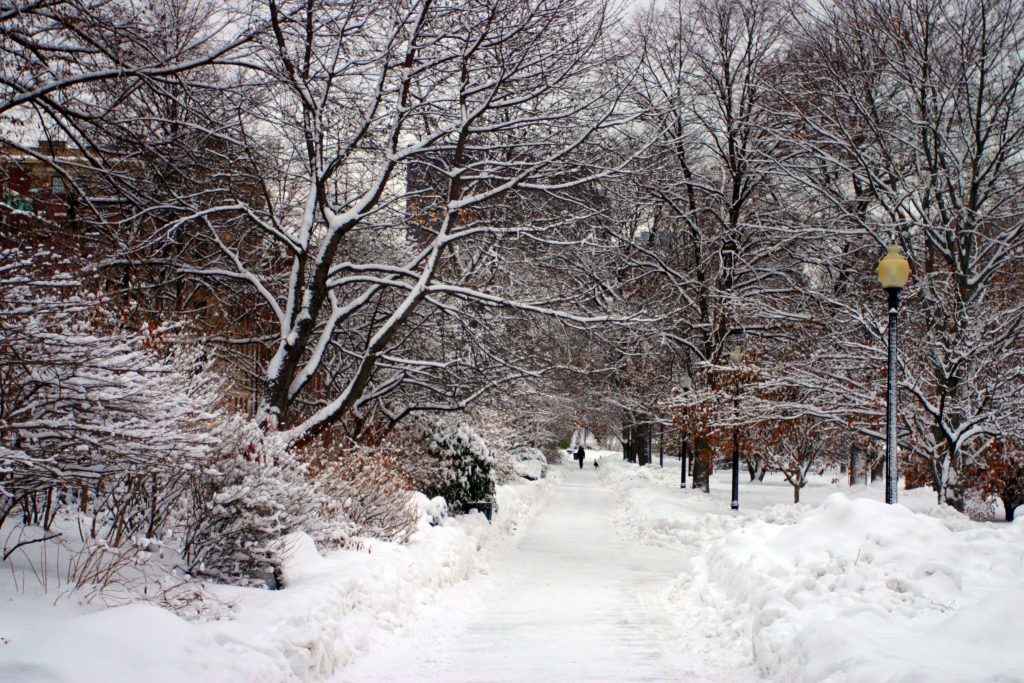 下雪啦！山东这6个绝美赏雪地一定不要错过，漫步冰雪世界！插图2