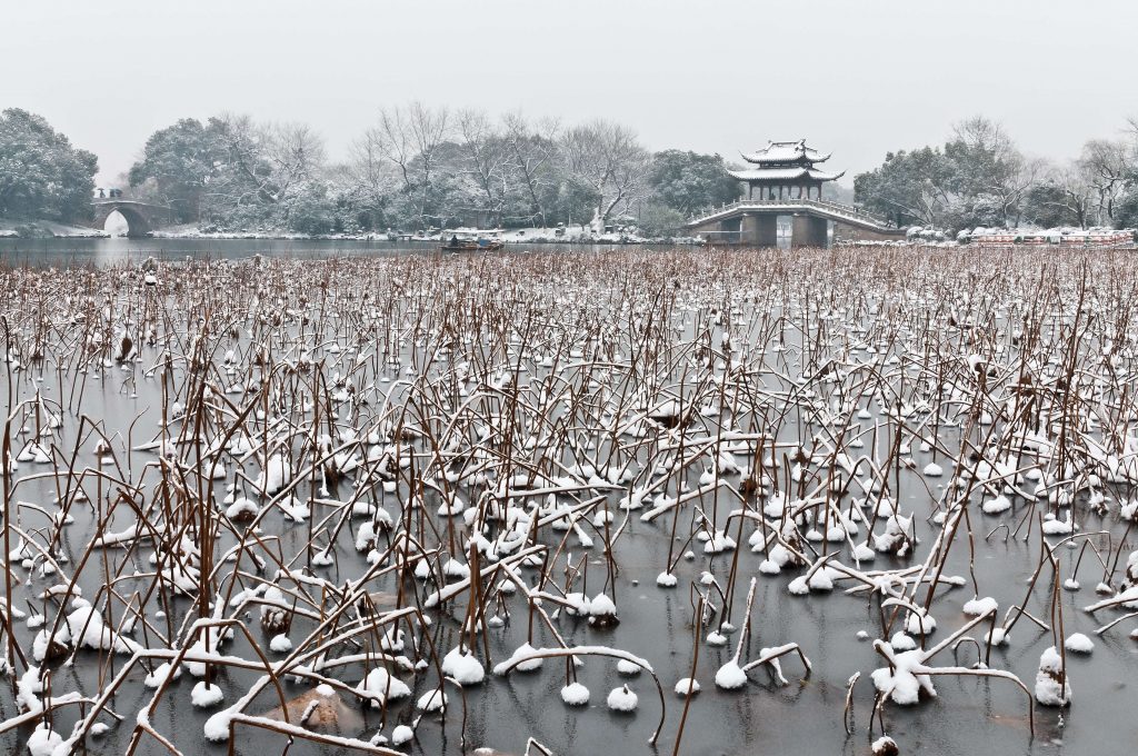 杭州冬日赏雪去哪儿好？收藏好这份杭州赏雪攻略，让冬天不留遗憾插图1