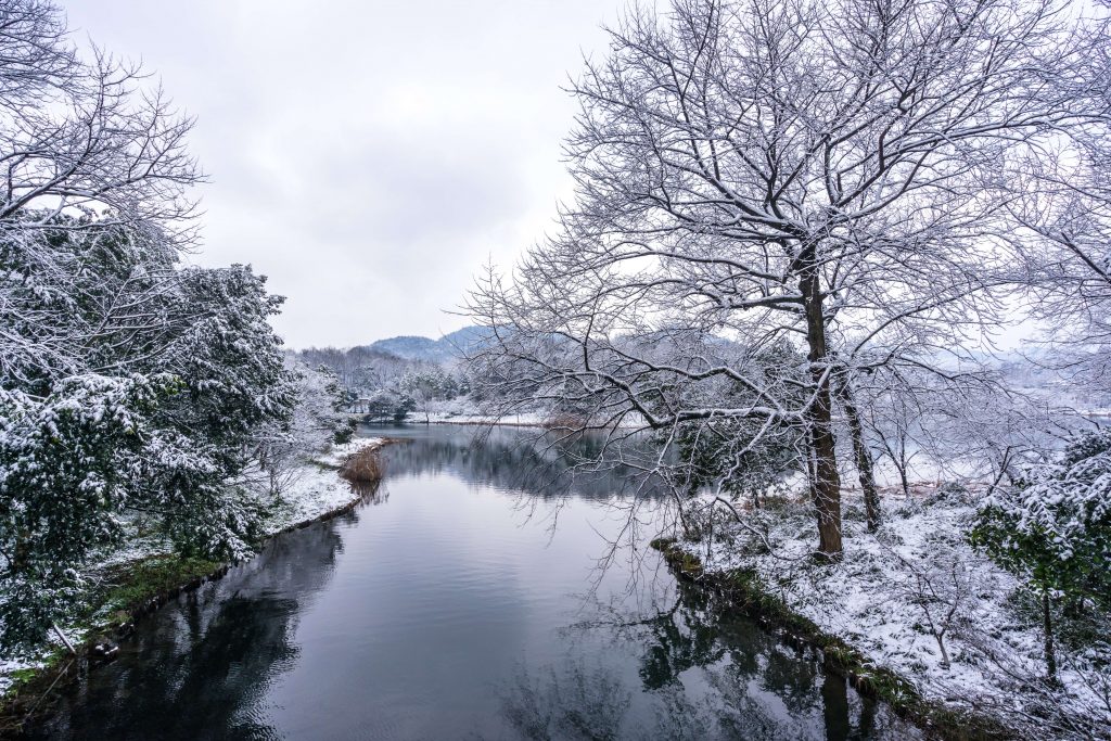 杭州冬日赏雪去哪儿好？收藏好这份杭州赏雪攻略，让冬天不留遗憾插图2