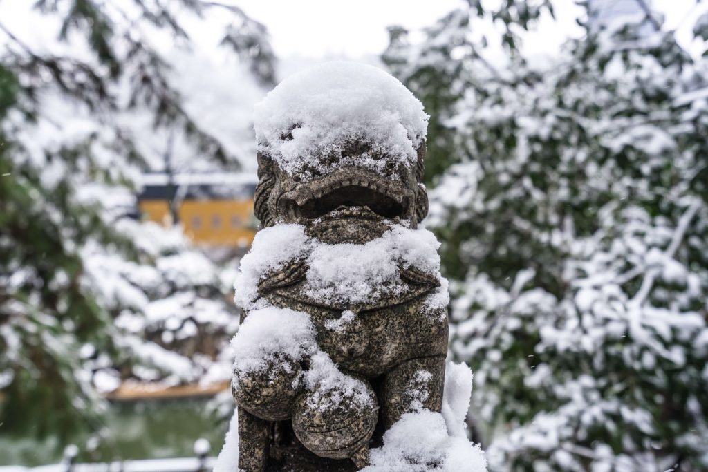 杭州冬日赏雪去哪儿好？收藏好这份杭州赏雪攻略，让冬天不留遗憾插图3