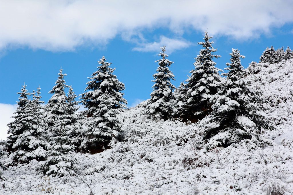 新疆太远，东北太冷，不想长途跋涉，那么川西的雪国秘境不可错过插图3