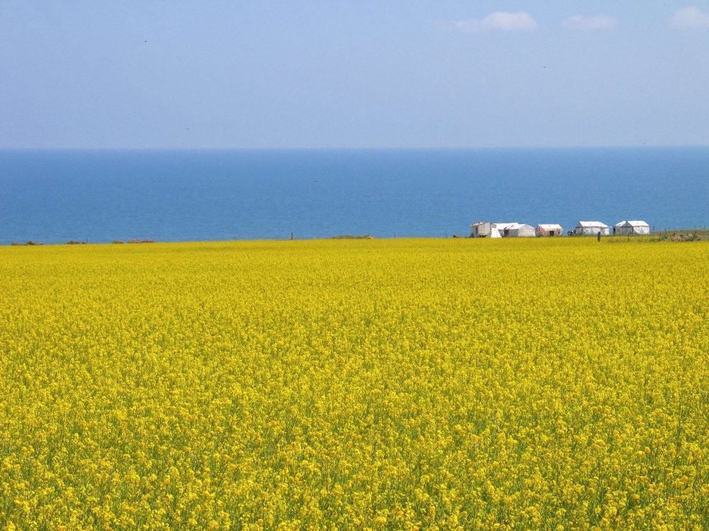 青海游玩攻略︱到青海游玩必去的10个最美旅行地，你去过几个？插图1