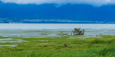 收藏！中国国家重要湿地最新名单汇总来了，共80个（附全名单）缩略图