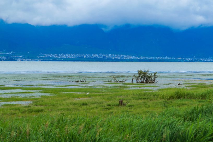 收藏！中国国家重要湿地最新名单汇总来了，共80个（附全名单）缩略图